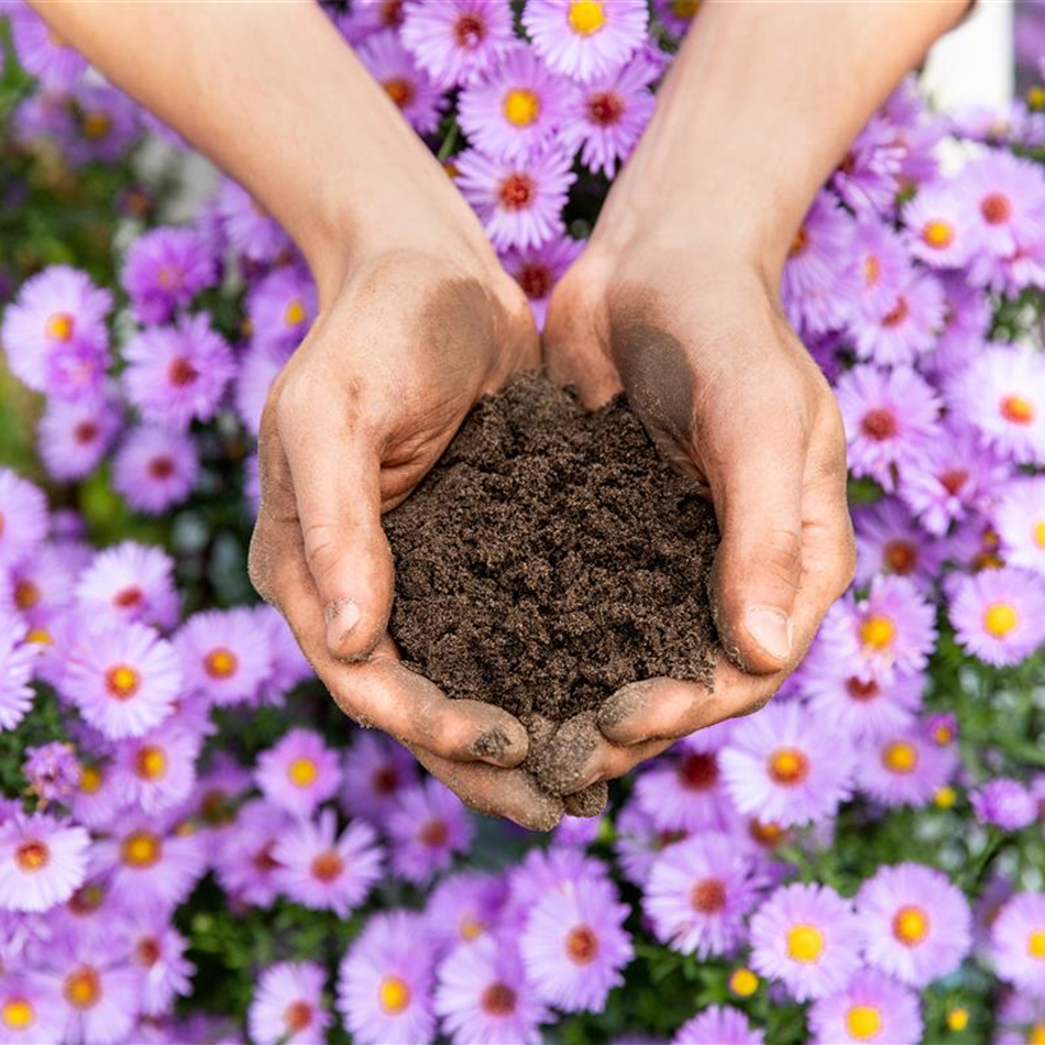 3 Gärtner 3 Gärtner