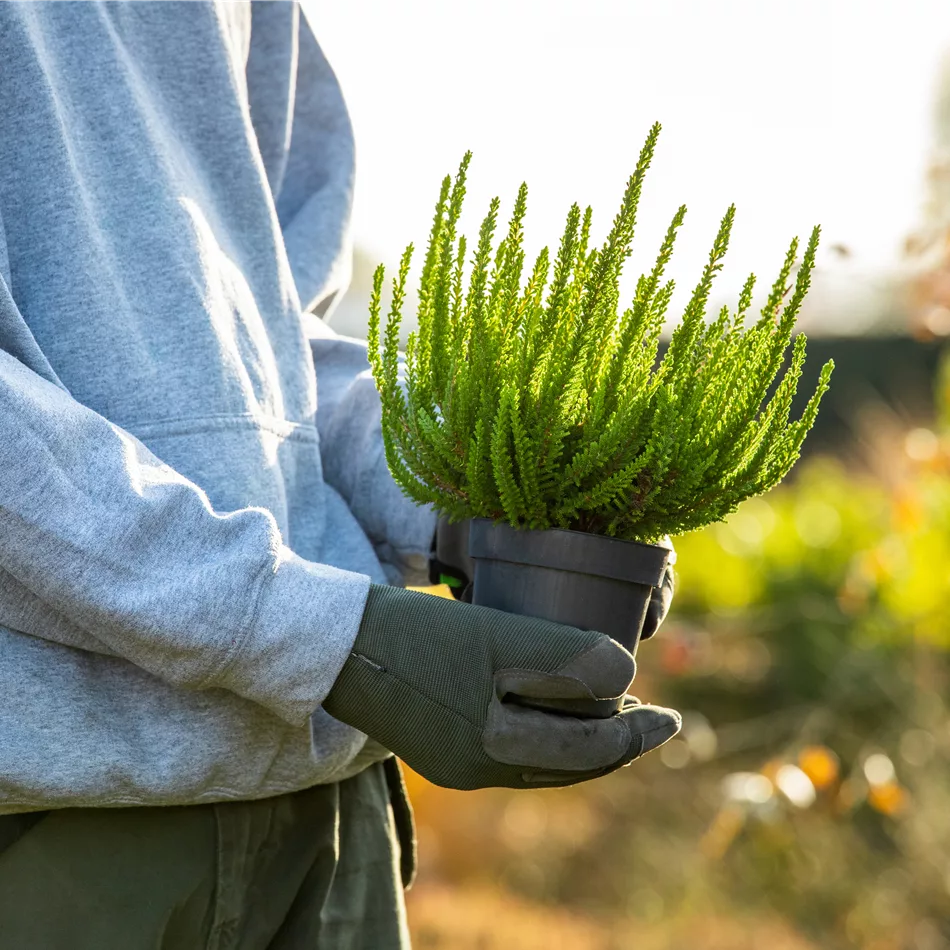 Über uns Pflanzencenter Haag Stuttgart
