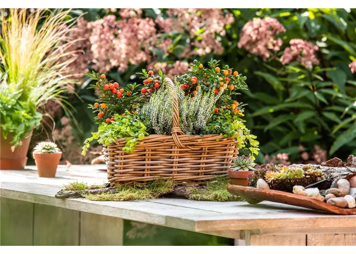 Ich bin ein kleiner Blindtext. Ich bin ein kleiner Blindtext.