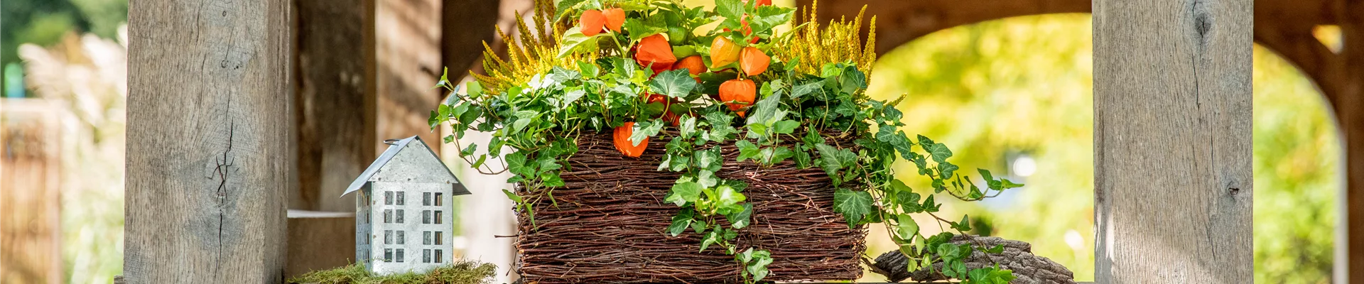 Herbstdeko - Bepflanzter Balkonkasten Herbstdeko - Bepflanzter Balkonkasten