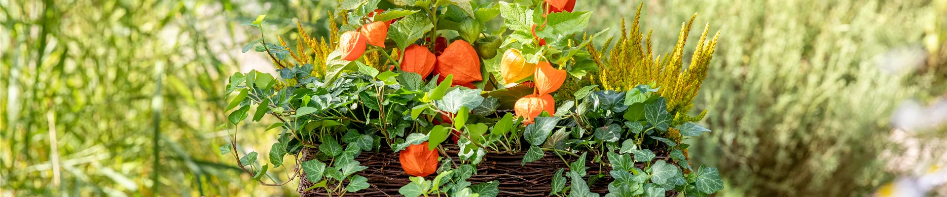 Herbstdeko - Bepflanzter Balkonkasten Herbstdeko - Bepflanzter Balkonkasten