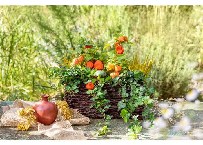 Ich bin ein kleiner Blindtext.  Ich bin ein kleiner Blindtext.