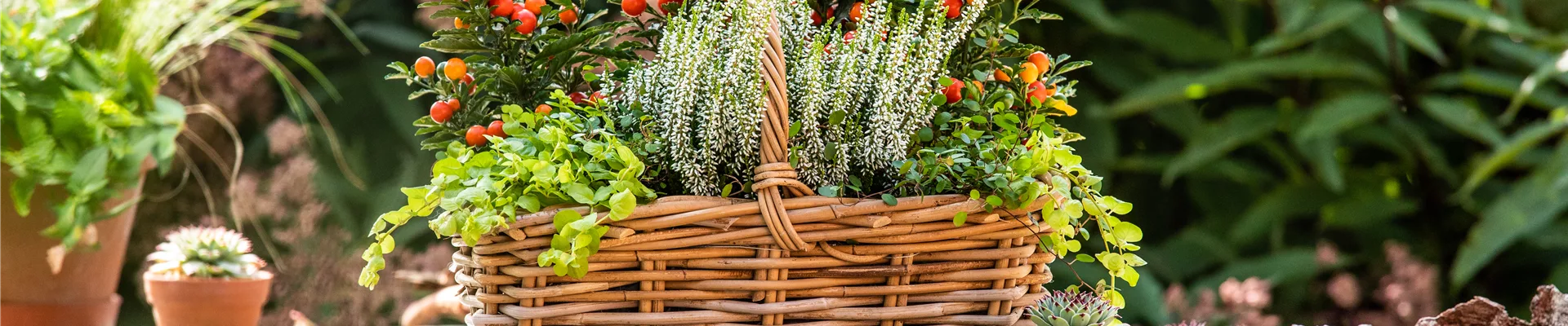 Herbstdeko - Bepflanzter Korb