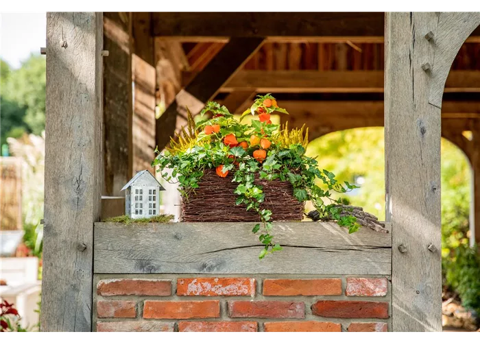 Ich bin ein kleiner Blindtext.