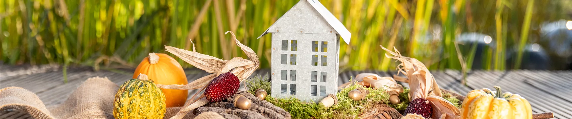 Herbstdeko - Windlicht, Ziermais und Kürbisse